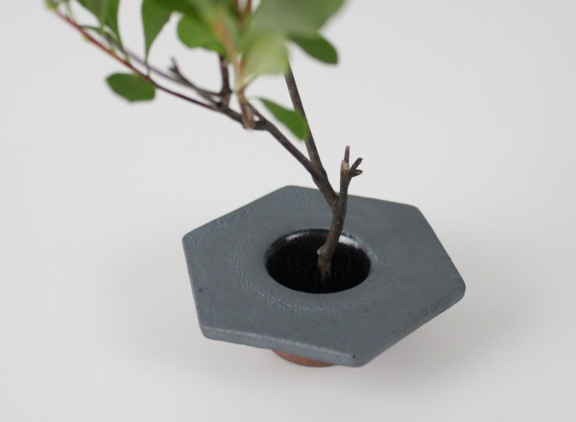 A hexagonal minimalist iron vase inspired by traditional Japanese roof tiles, with a branch arrangement.
