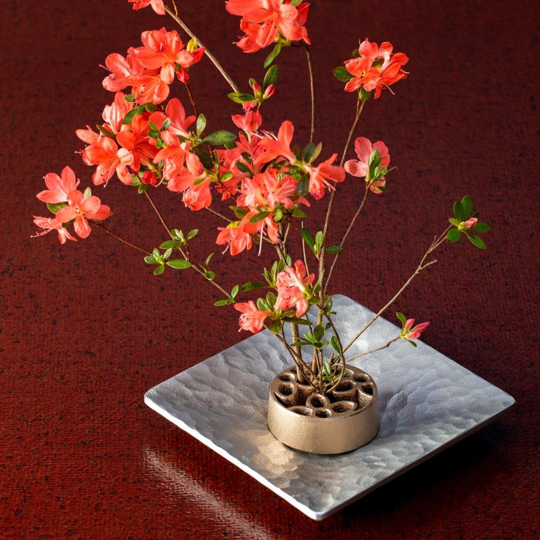 Ikebana flower arrangement using Japanese pinless kenzan Garden L in Japanese vase