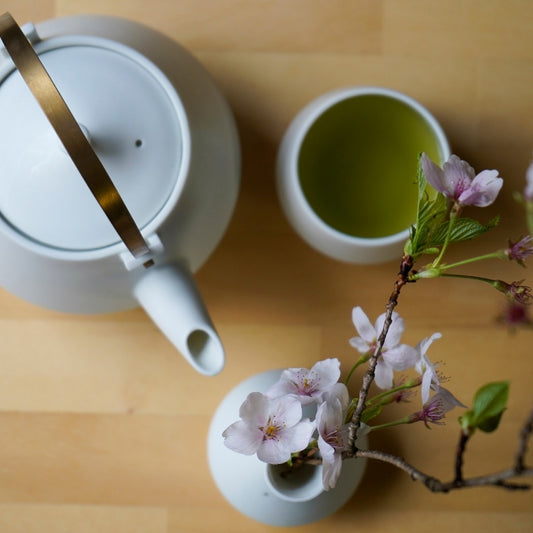 White Japanese teapot and yunomi tea cup with green tea beside cherry blossoms