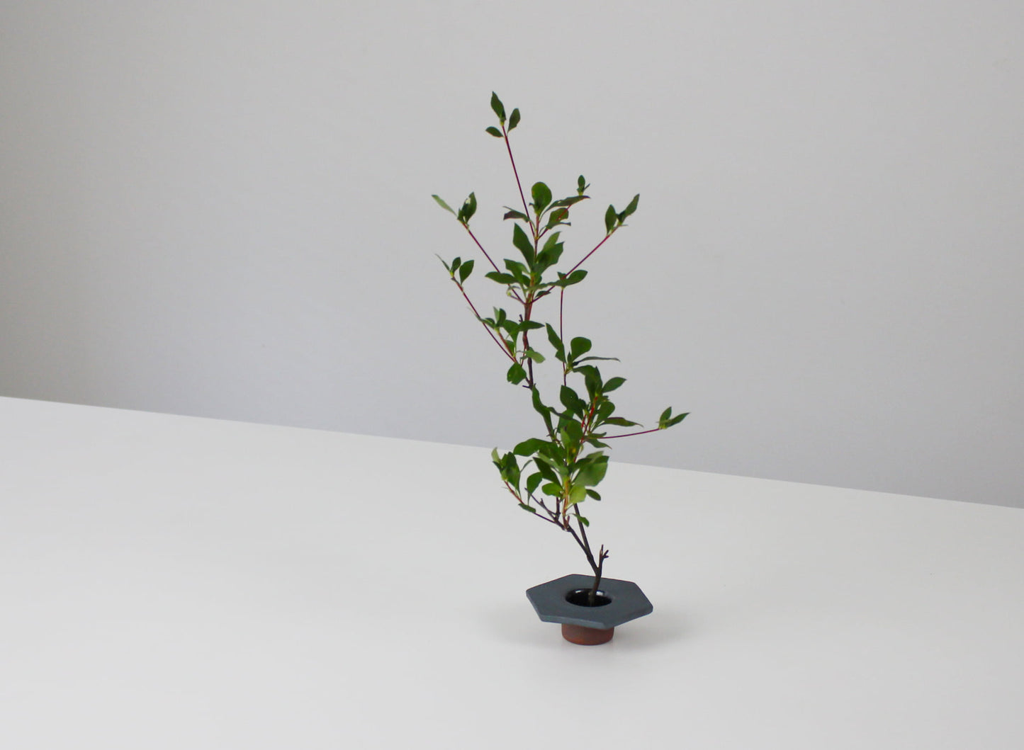 A Japanese iron-colored ikebana vase on a white table.