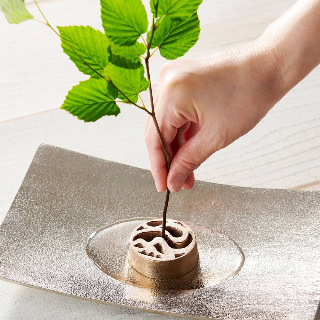 Enkele tak met Japanse Pinless Kenzan "het water" voor ikebana bloemschikken