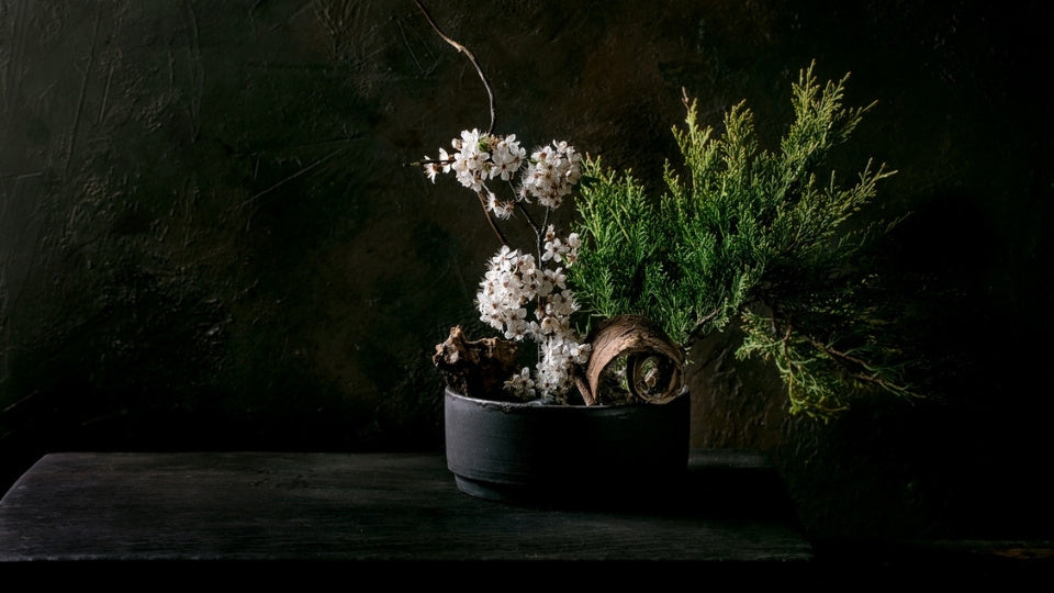 Japanese ikebana vase with white blossoms and pine branches for ikebana flower display