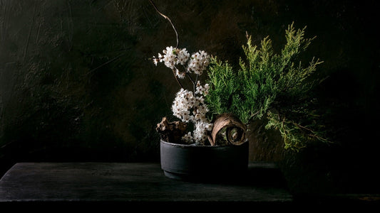 Japanese ikebana vase with white blossoms and pine branches for ikebana flower display