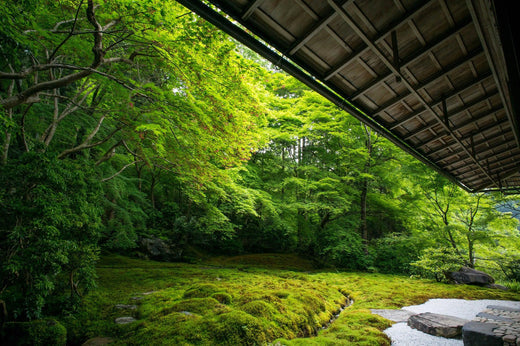 Wabi-Sabi, wabi sabi, Wabi Sabi Japon, Jardin japonais