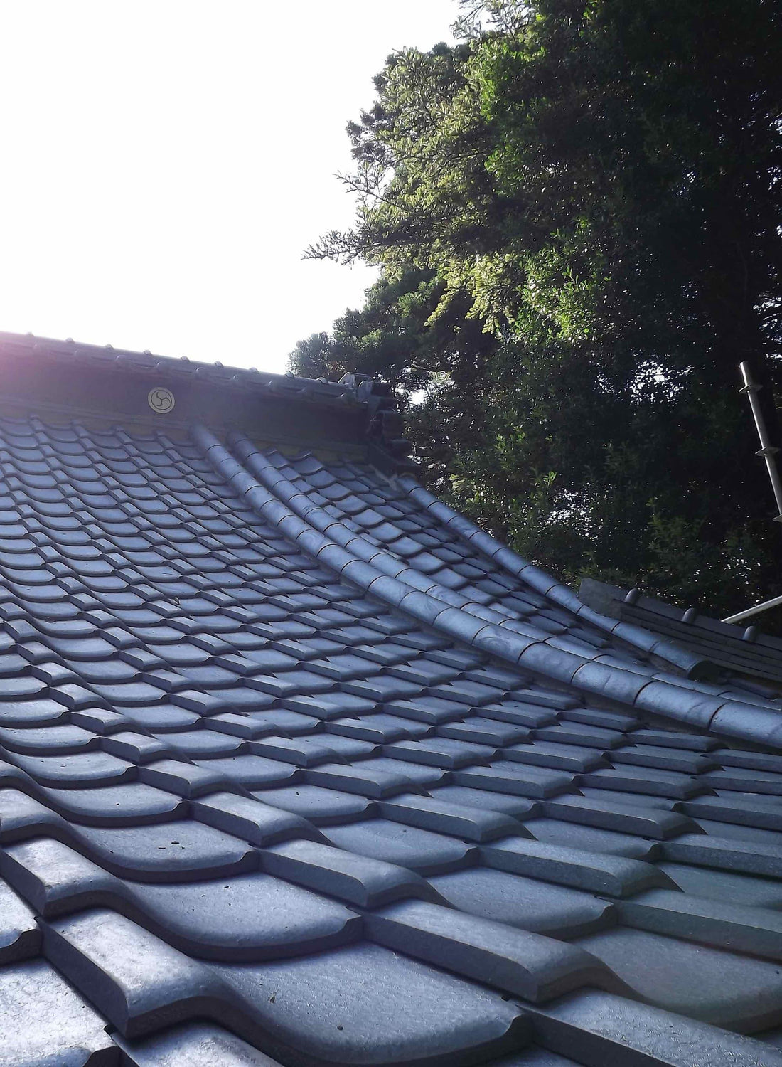Temple Roof with Japanese Tile
