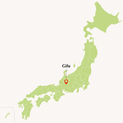 Gifu, Japan