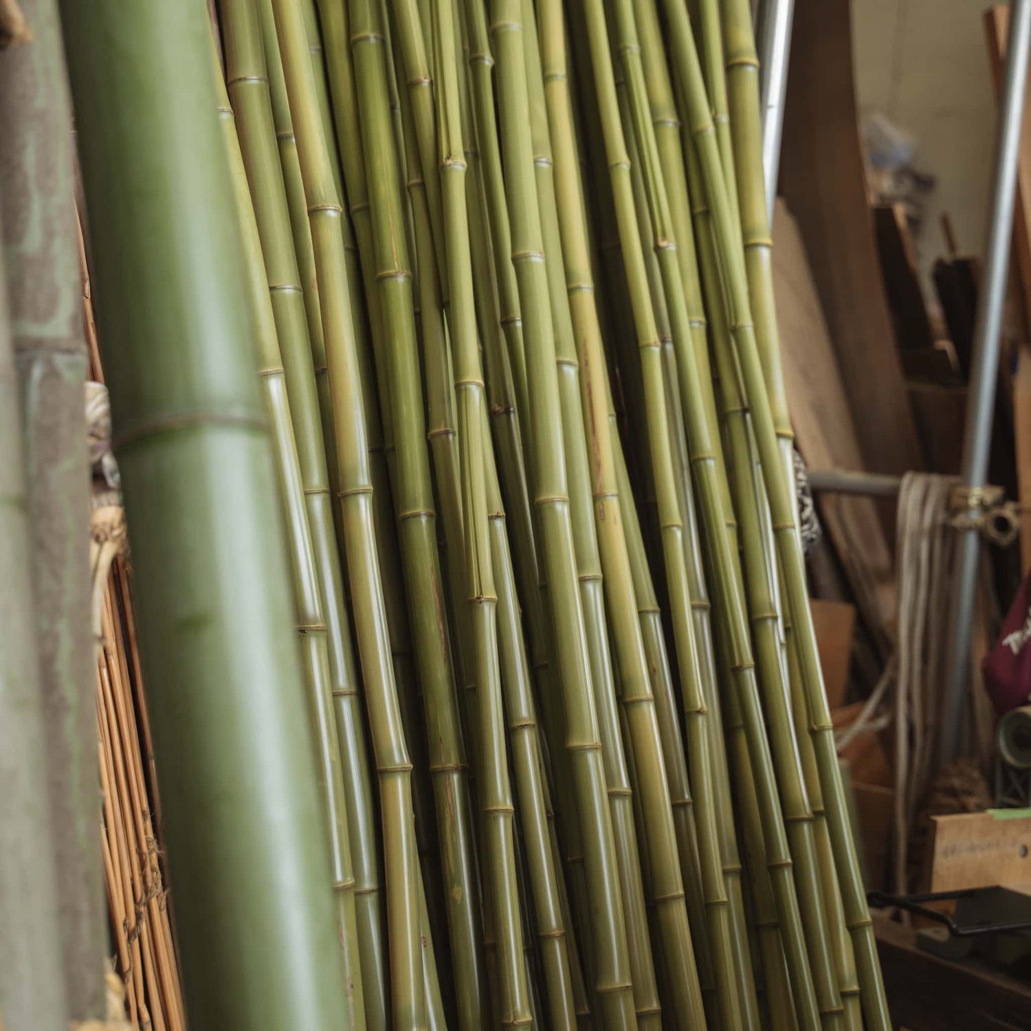 Storage shed filled with bamboo stalks