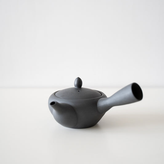 Japanese Teapot (Kyusu) with Tea Strainer - Black