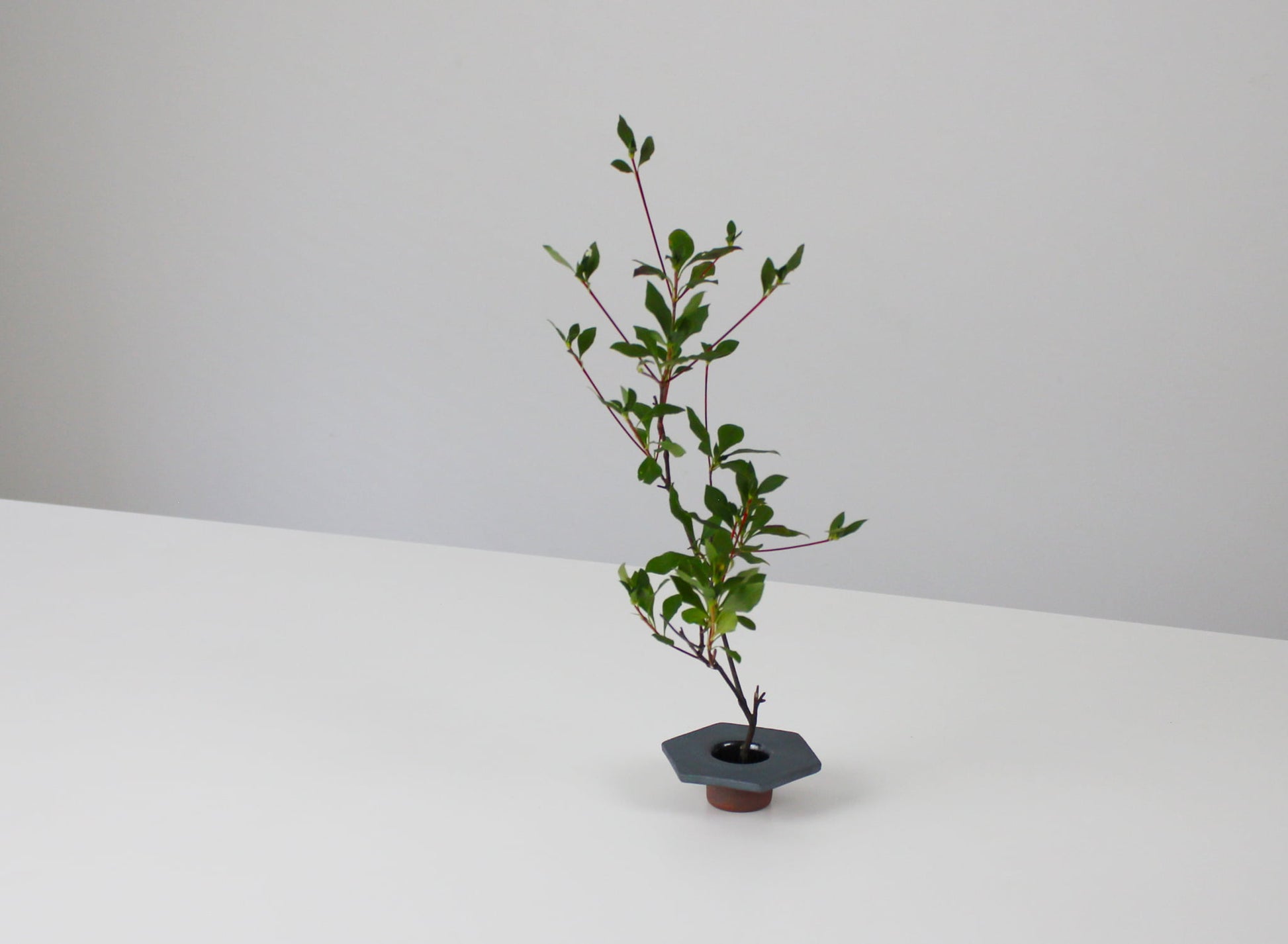 A Japanese iron-colored ikebana vase on a white table. 