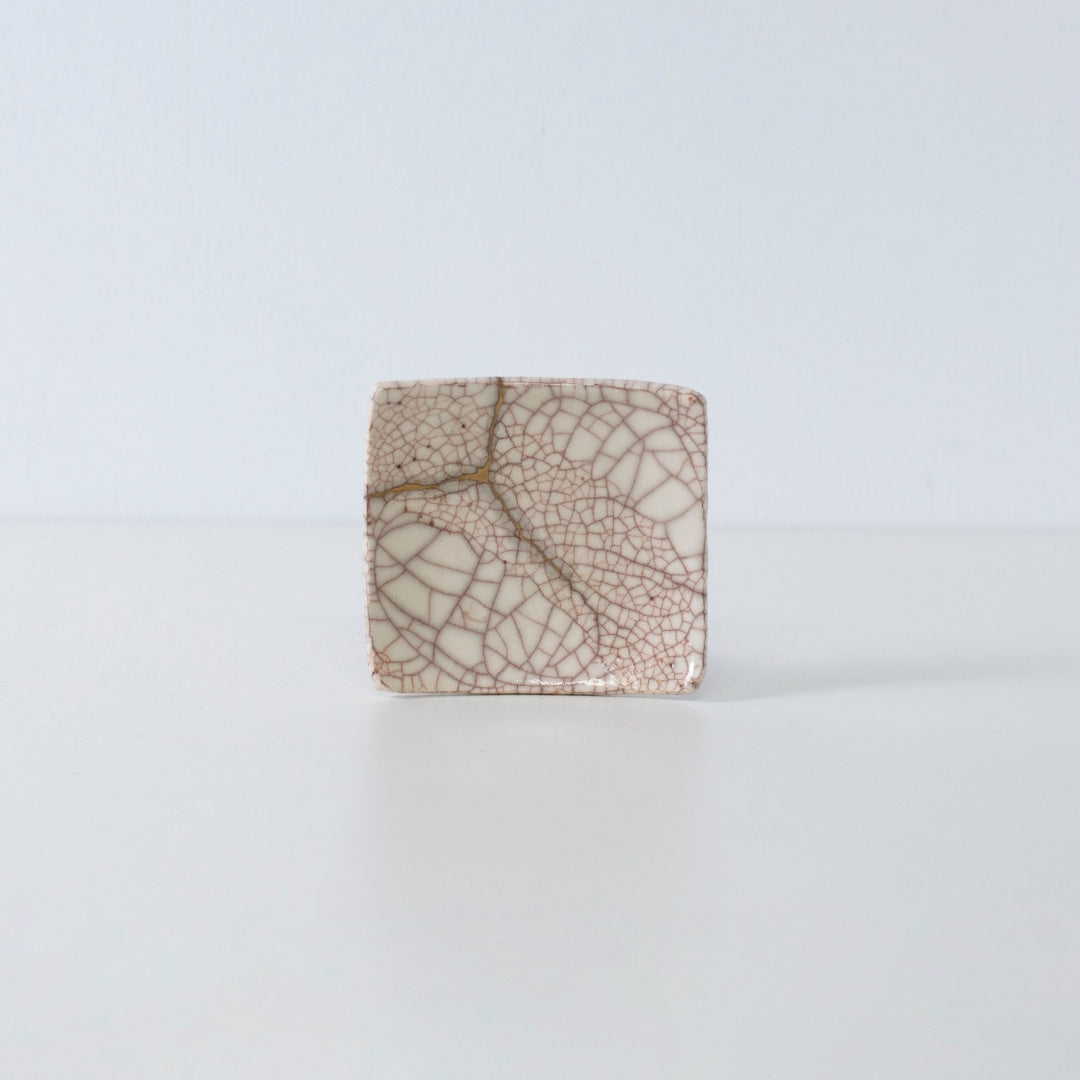 Side view of Kintsugi Square Plate "Vermilion Crackle" 06 in a white background