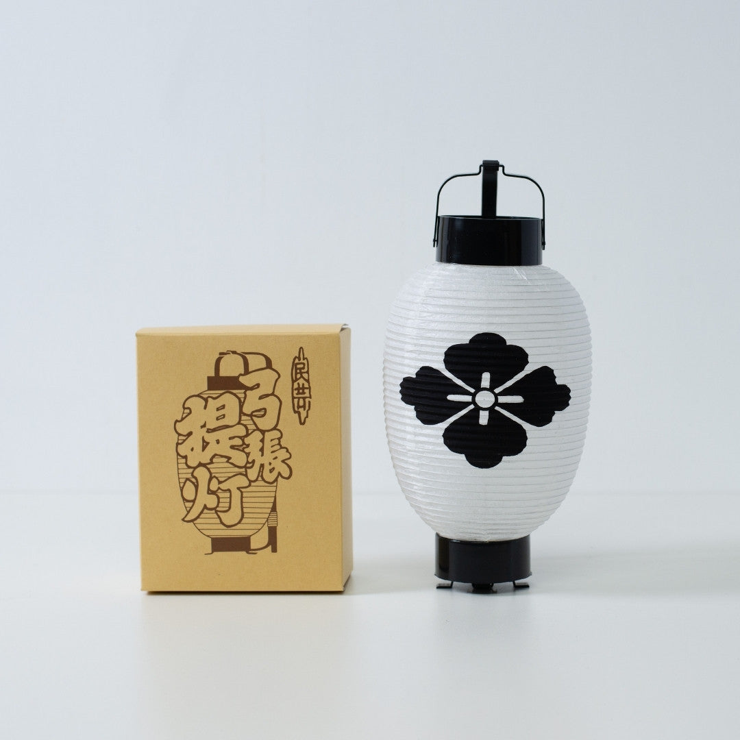 Traditional flower diamond japanese paper lantern standing beside its illustrated cardboard packaging box.