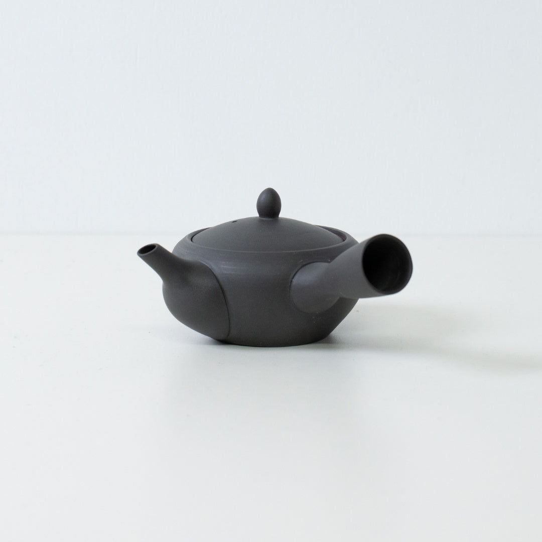 Side view of a black japanese teapot in monks bowl style with a side handle and lid on a white background.