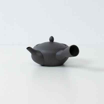 Side view of a black japanese teapot in monks bowl style with a side handle and lid on a white background.