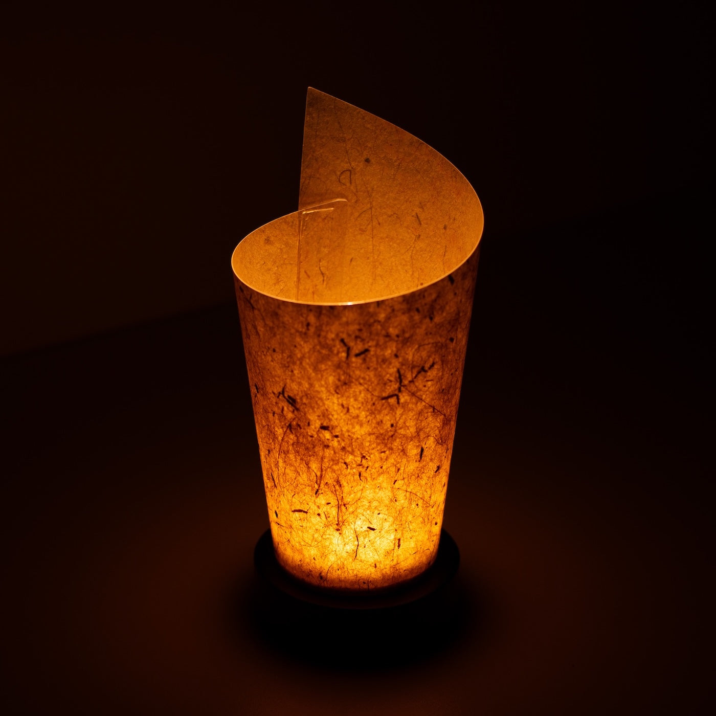 Japanese Paper Table Lamp "Maki" Cedar Bark, brown, Mino Washi paper - high angle view of lit Japandi lamp showing rolled design.