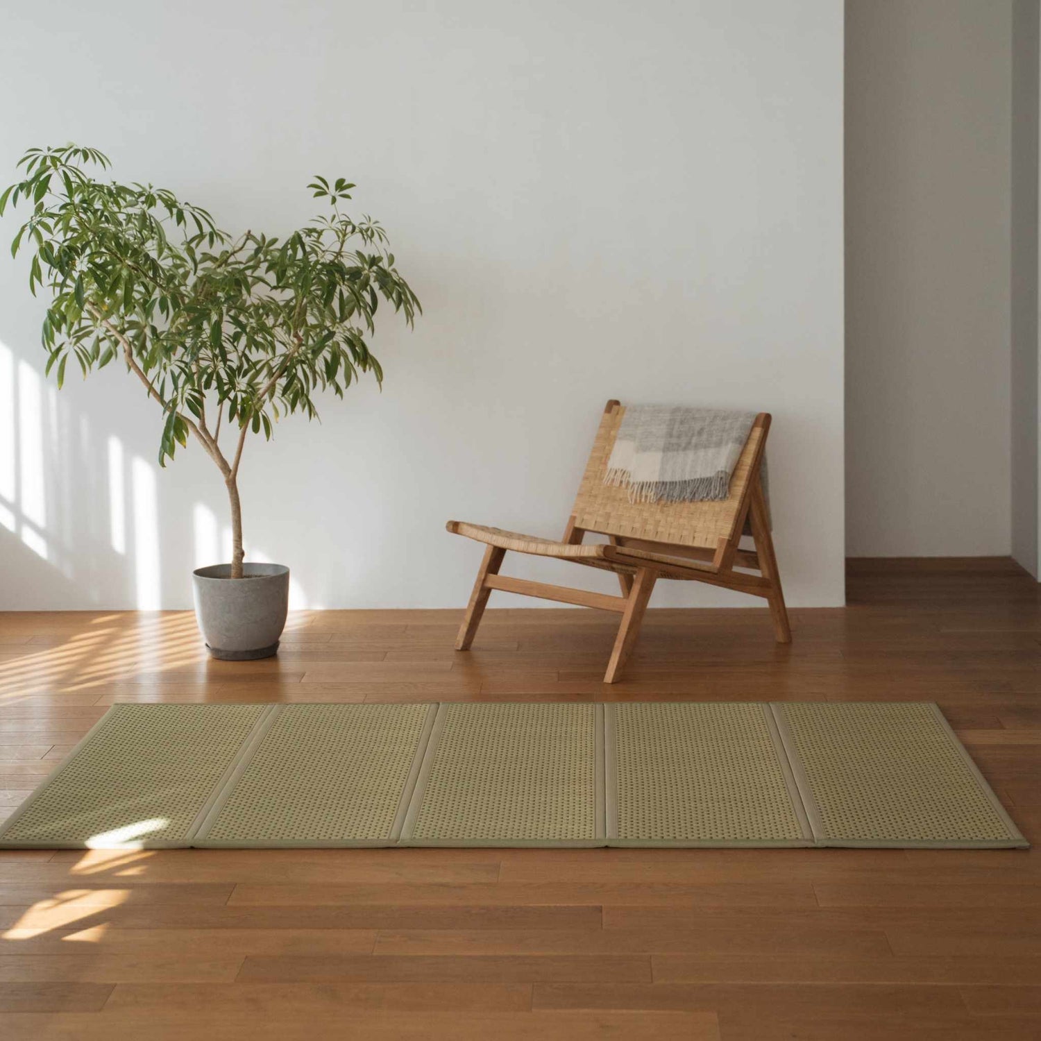 Green double tatami mat placed on a wooden floor next to a chair and plant for minimalist Japanese decor.
