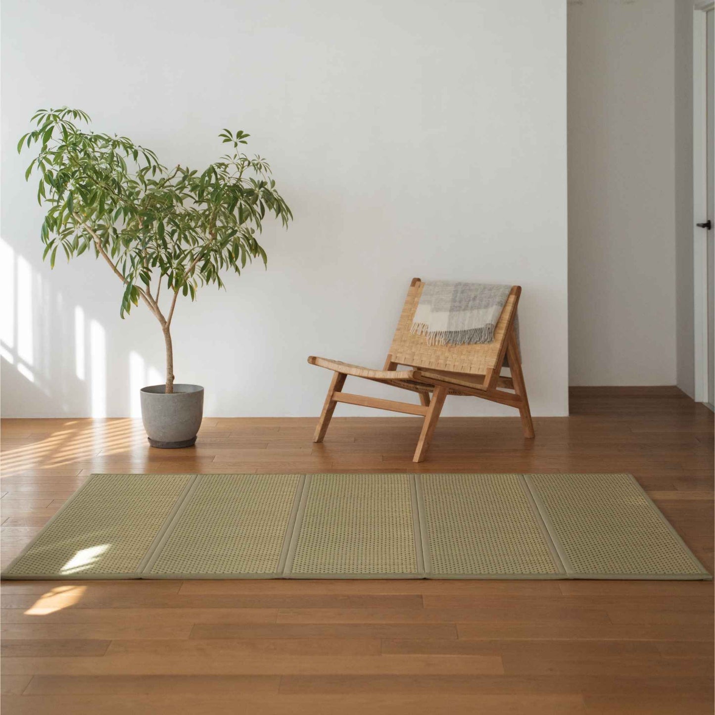 Green semi double tatami mat placed on a wooden floor next to a chair and plant for minimalist Japanese decor.