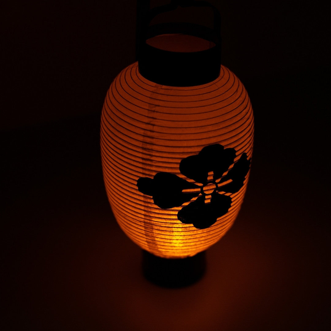 Looking down at a glowing Japanese paper lantern with a hand-painted flower diamond crest in a dark interior.